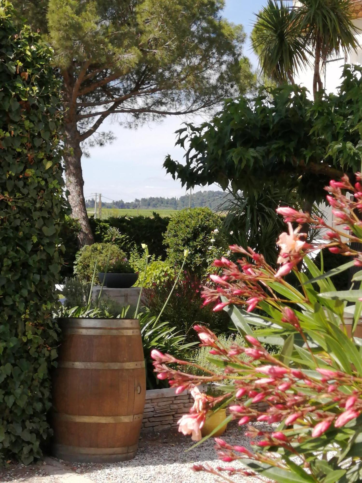 A L'Oree Des Vignes Montady Exterior photo